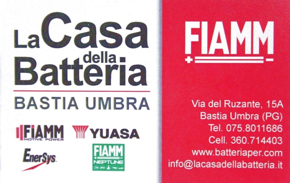 BATTERIE AUTO VARTA 12V 80AH 740A F17 La casa della Batteria